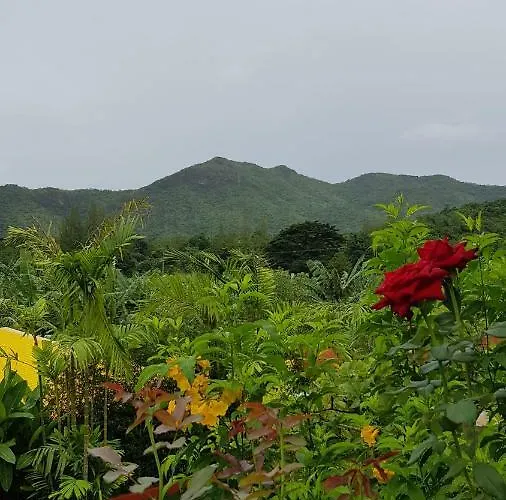 เดินระเบียง สวนผึ้ง RATCHABURI PROVINCE